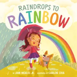 raindrops to rainbow book cover image
