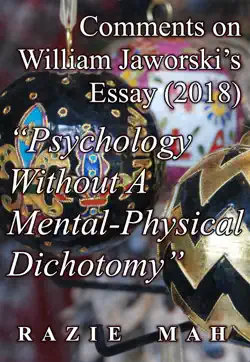 comments on william jaworski’s essay (2018) 
