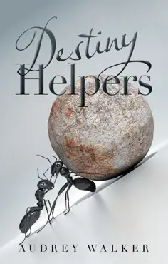 destiny helpers book cover image