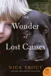 The Wonder of Lost Causes synopsis, comments