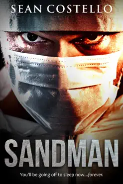 sandman book cover image