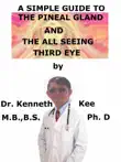 A Simple Guide To The Pineal Gland, And The All Seeing Third Eye synopsis, comments