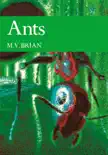 Ants synopsis, comments