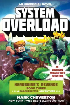system overload book cover image