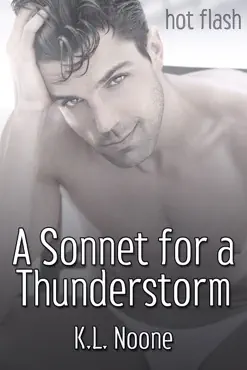a sonnet for a thunderstorm book cover image