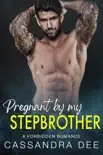 Pregnant By My Stepbrother synopsis, comments
