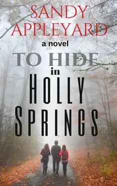 to hide in holly springs imagen de la portada del libro