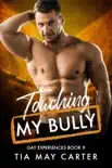Touching My Bully synopsis, comments