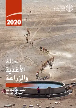 التغلُّب على تحدٍّيات المياه في الزراعة: 2020 حالة الأغذية والزراعة book cover image