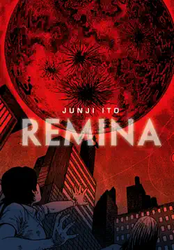 remina book cover image