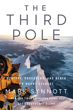 the third pole book cover image