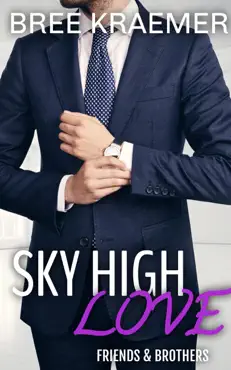 sky high love book cover image