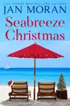 Seabreeze Christmas synopsis, comments