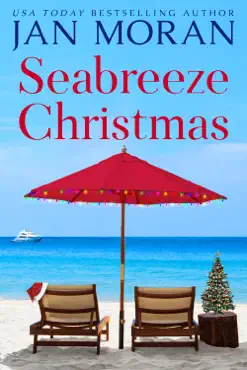 seabreeze christmas book cover image