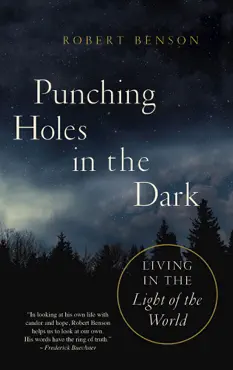 punching holes in the dark book cover image