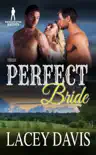 Their Perfect Bride synopsis, comments