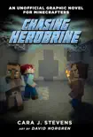 Chasing Herobrine synopsis, comments