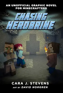 chasing herobrine book cover image