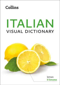italian visual dictionary book cover image
