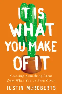 it is what you make of it book cover image