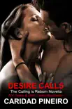Desire Calls synopsis, comments