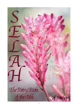 selah book cover image