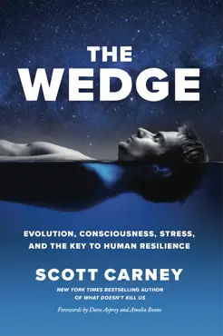 the wedge book cover image