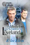 Mistletoe Reunion in Loveland synopsis, comments