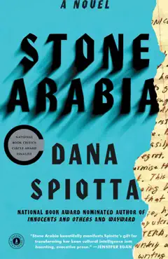 stone arabia book cover image