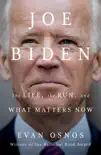 Joe Biden synopsis, comments