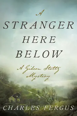 a stranger here below imagen de la portada del libro