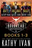 Texas Boudreau Brotherhood Books 1 - 3 synopsis, comments