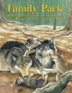 family pack book cover image
