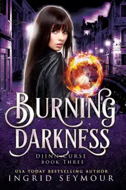 burning darkness book cover image
