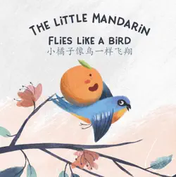 the little mandarin flies like a bird book cover image