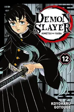 demon slayer t12 book cover image