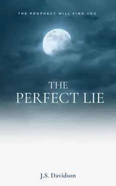 the perfect lie book cover image