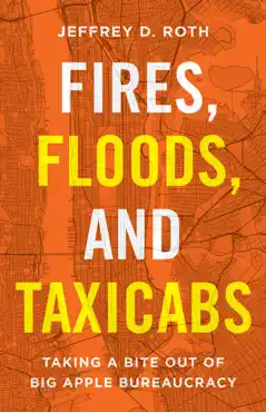 fires, floods, and taxicabs imagen de la portada del libro
