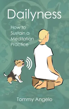 dailyness - how to sustain a meditation practice book cover image