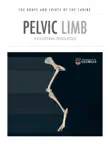 Pelvic Limb synopsis, comments