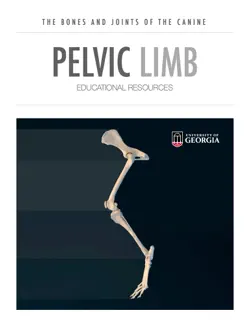 pelvic limb imagen de la portada del libro