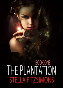 the plantation book cover image
