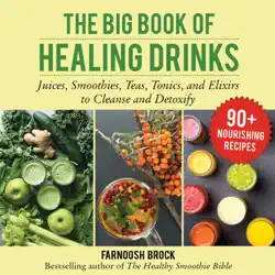 the big book of healing drinks book cover image