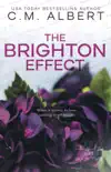 The Brighton Effect sinopsis y comentarios