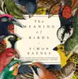 The Meaning of Birds synopsis, comments