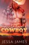 How To Love A Cowboy synopsis, comments