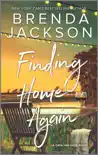 Finding Home Again synopsis, comments