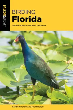 birding florida book cover image