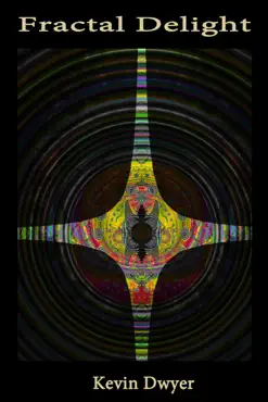 fractal delight book cover image