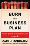 Burn the Business Plan synopsis, comments